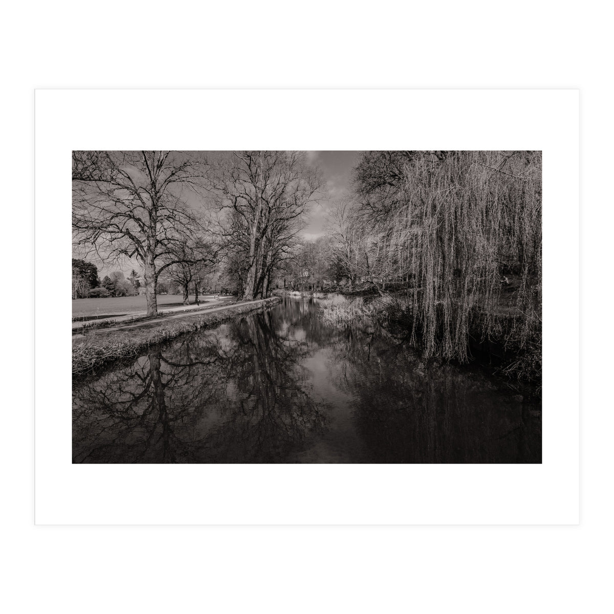 Bute Park, Cardiff  (Print Only)
