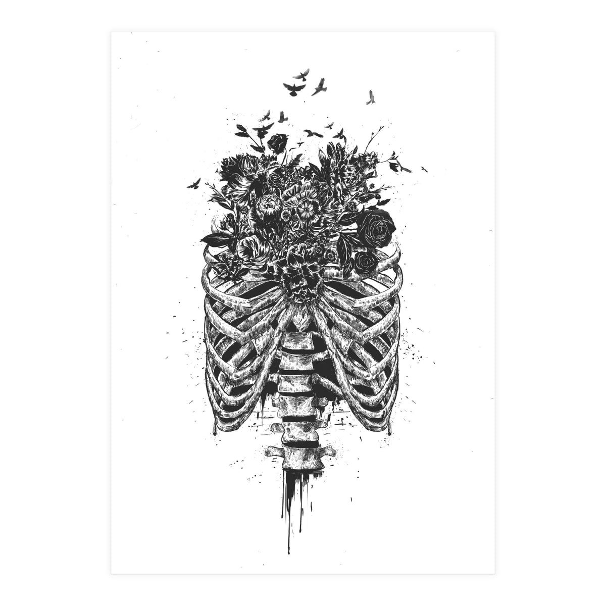 New Life Bw (Print Only)