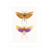 Cc Insects 01 (Print Only) thumbnail