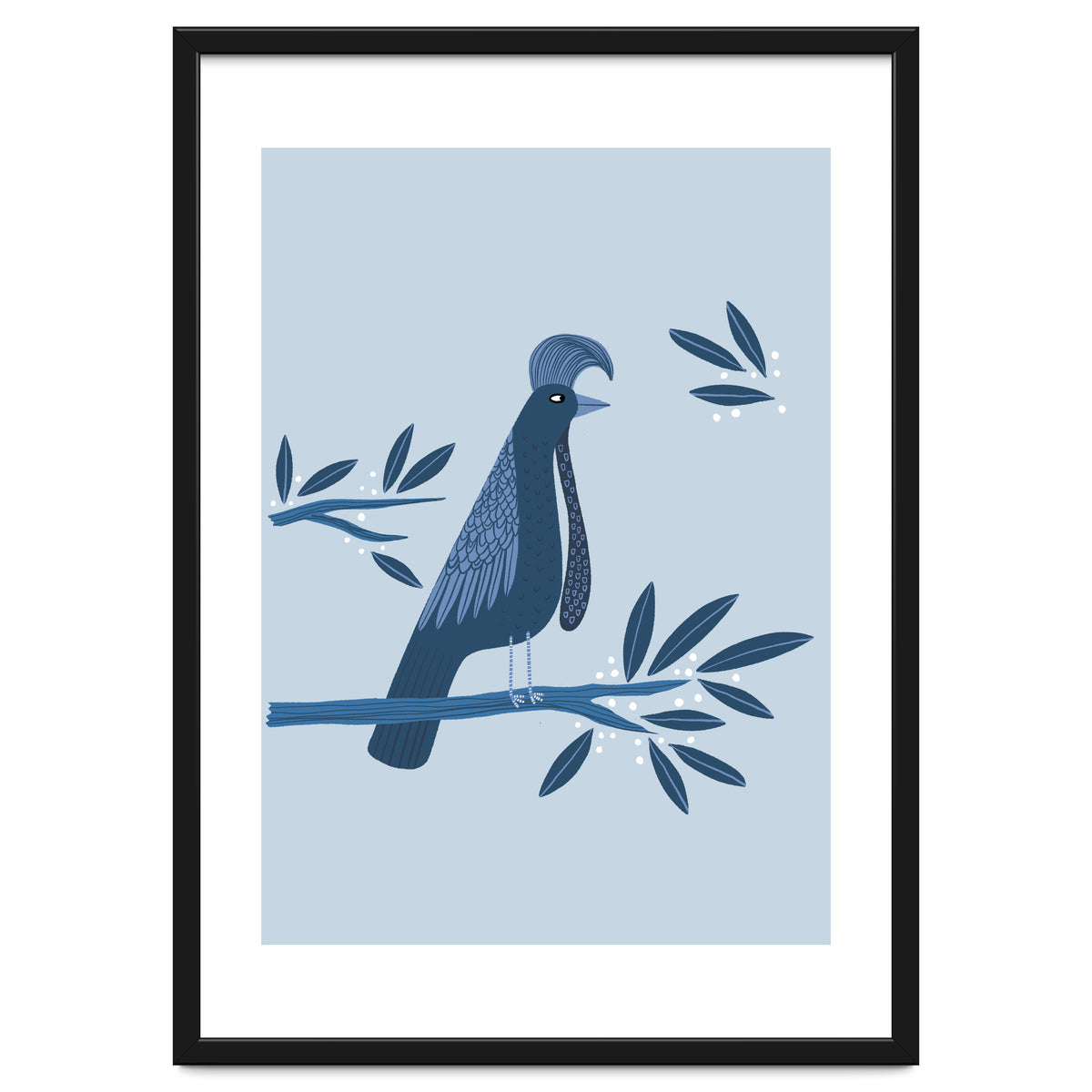 Umbrellabird