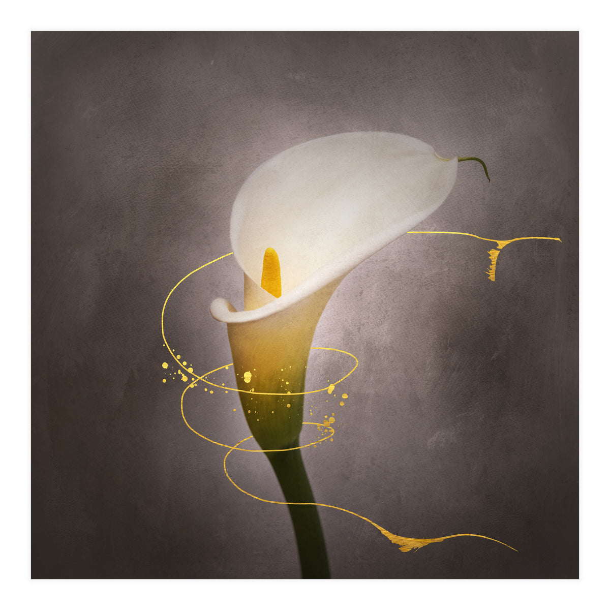 Graceful flower - Calla No. 4 | vintage style gold (Print Only)