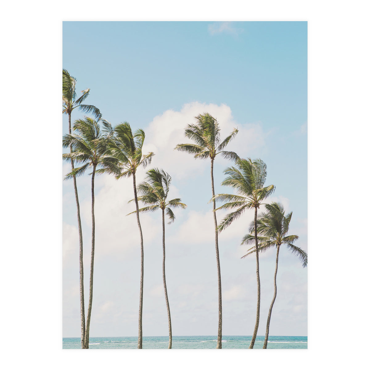 Tropical Palm Trees (Print Only)