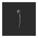 Simple Golden Botanical - Square (Print Only) thumbnail