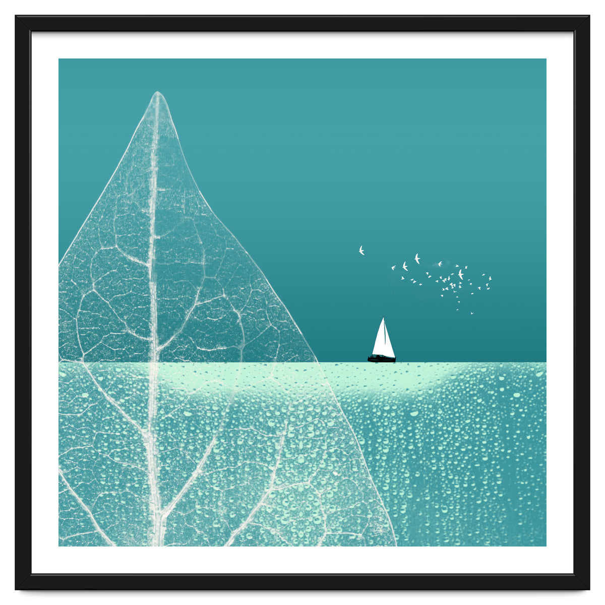 Ocean Wonderland Ii-B