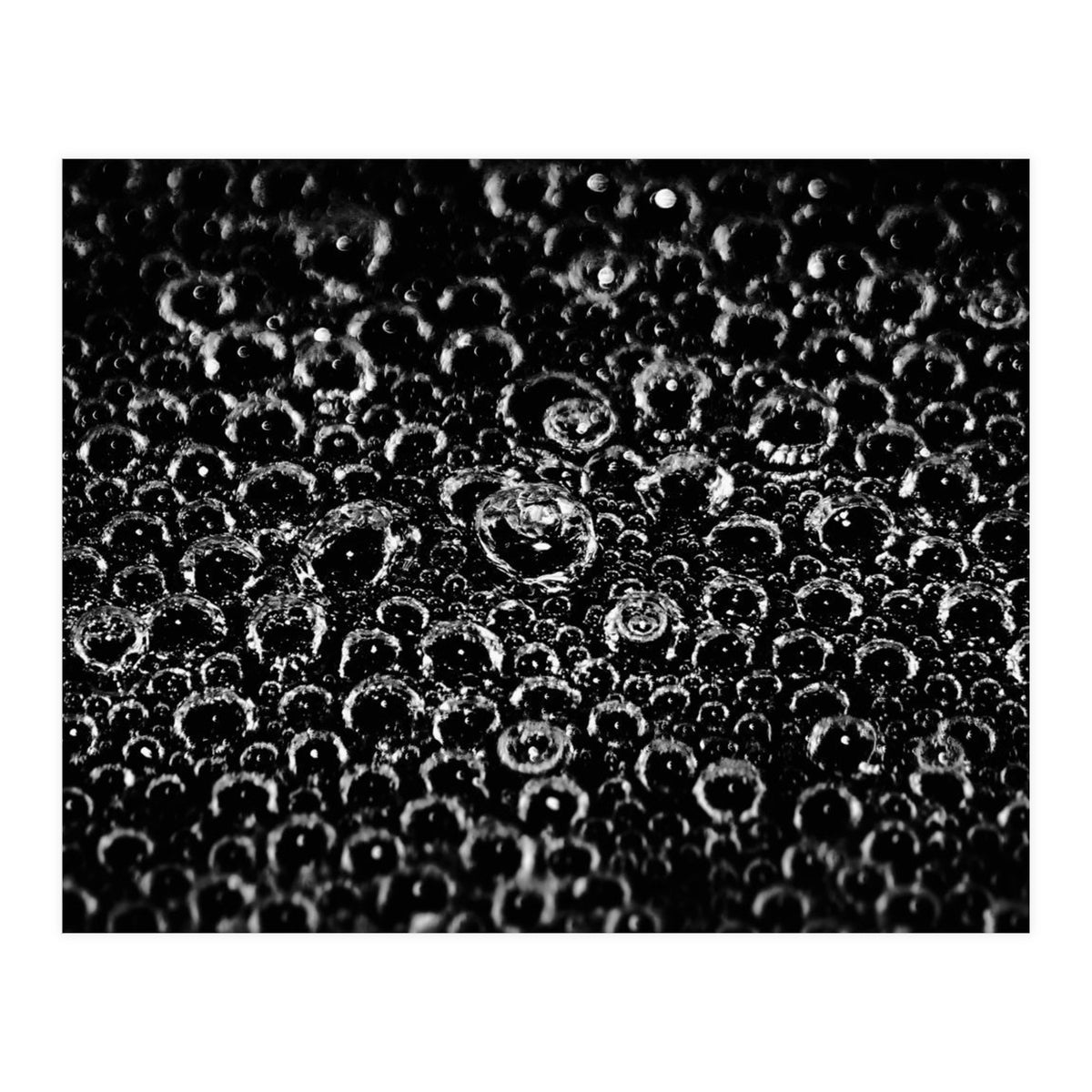 Bubbles (Print Only)