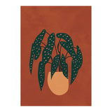 Boho Terracotta Begonia (Print Only) thumbnail