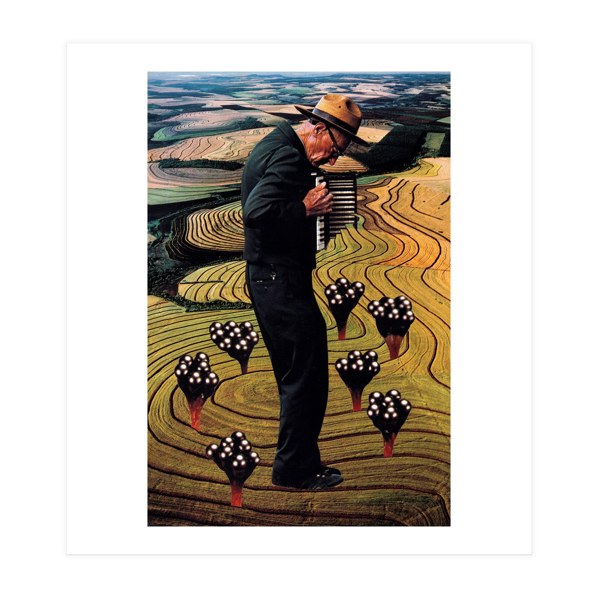 Accordion (Print Only)