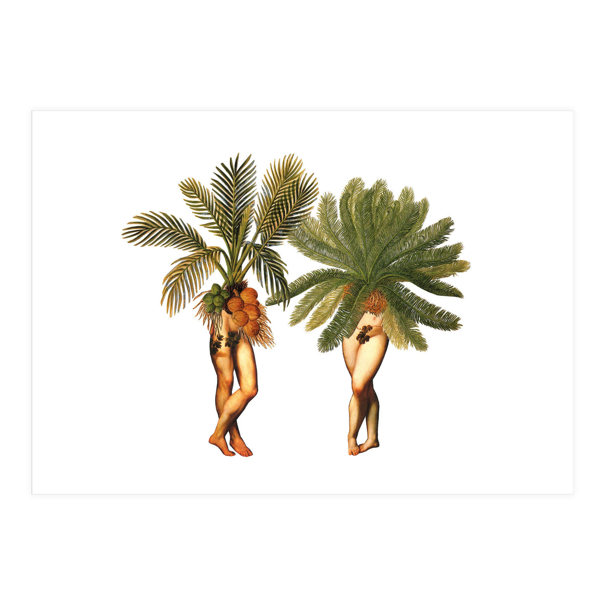 The Palms (Print Only)