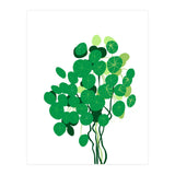 Pilea (Print Only) thumbnail