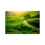 Nature (Print Only) thumbnail