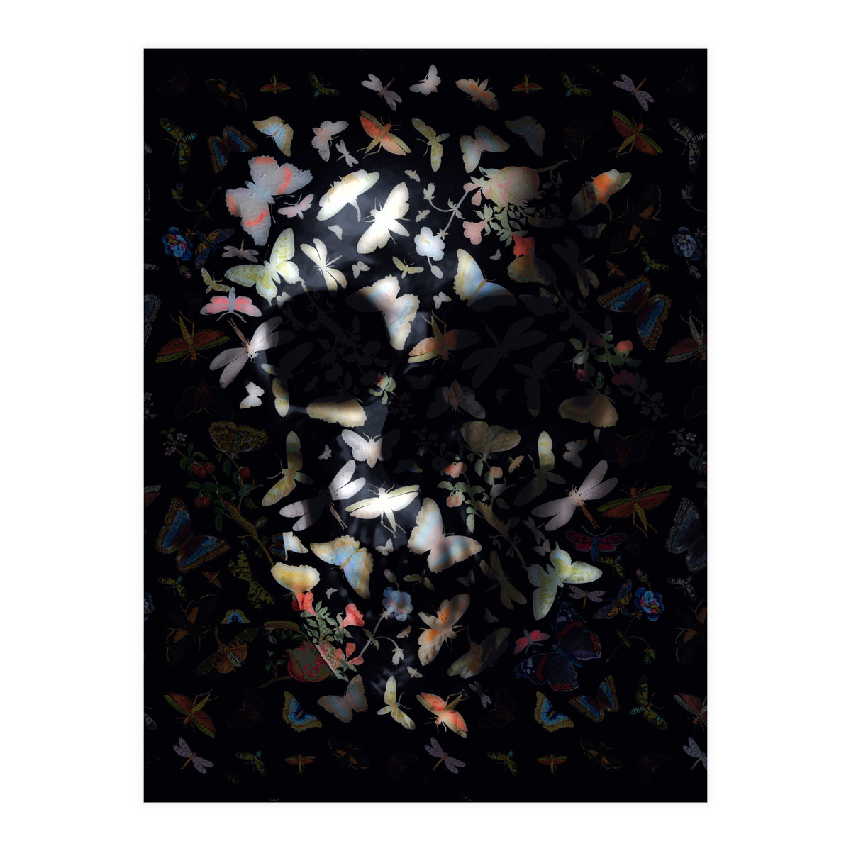 Butterfly Skull (Print Only)