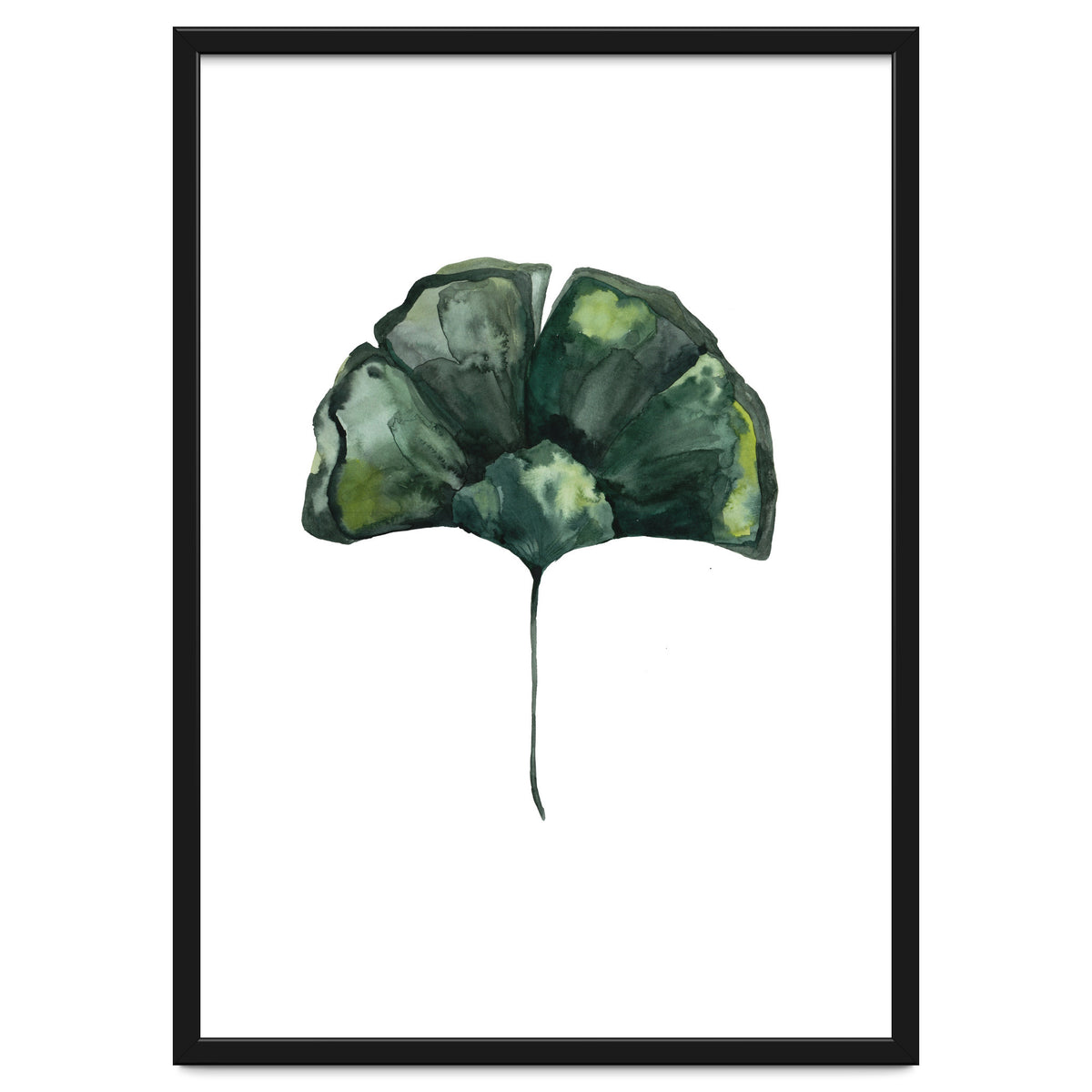 Botanical Illustration Ginko