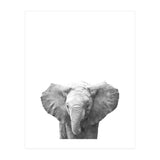 Black and White Baby Elephant  (Print Only) thumbnail