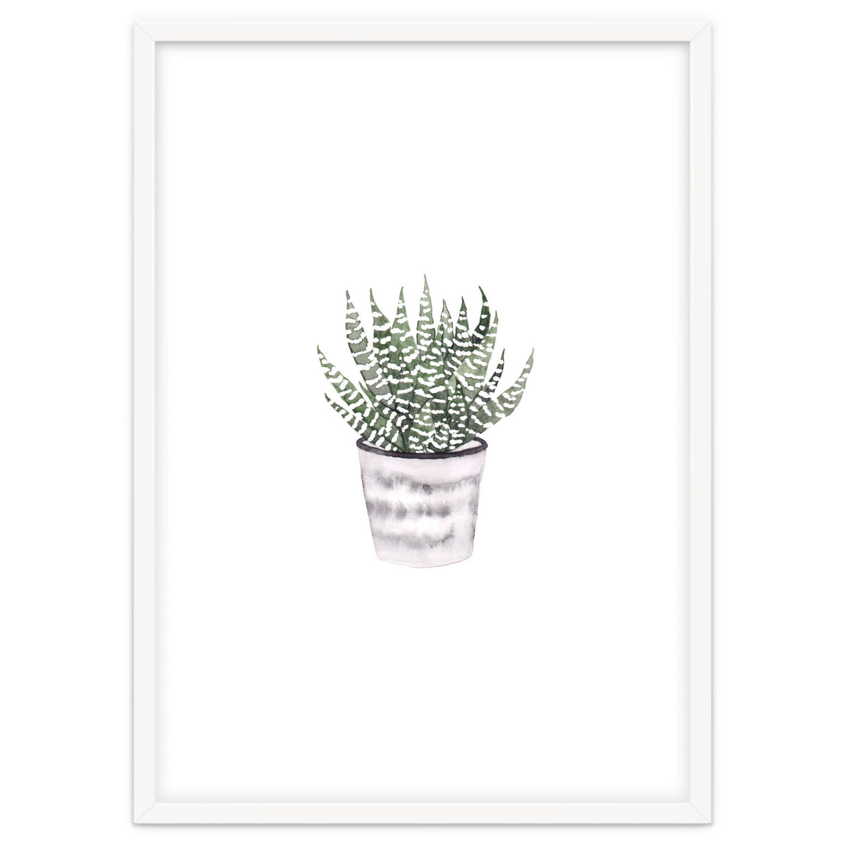 Potted Plant