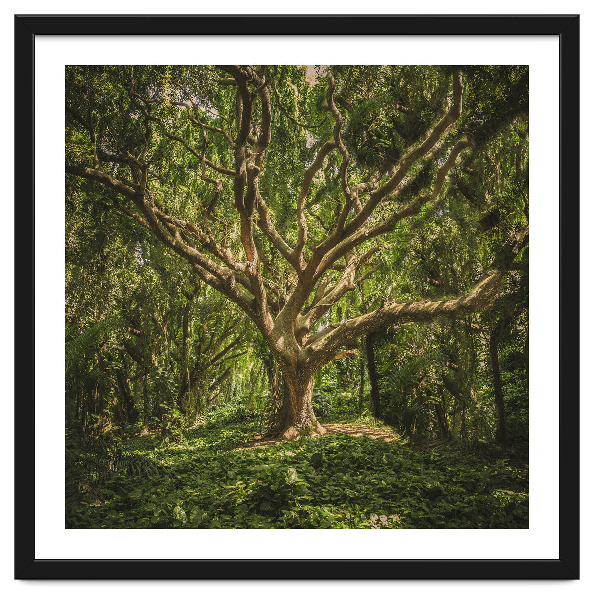 Spirits inside the wood