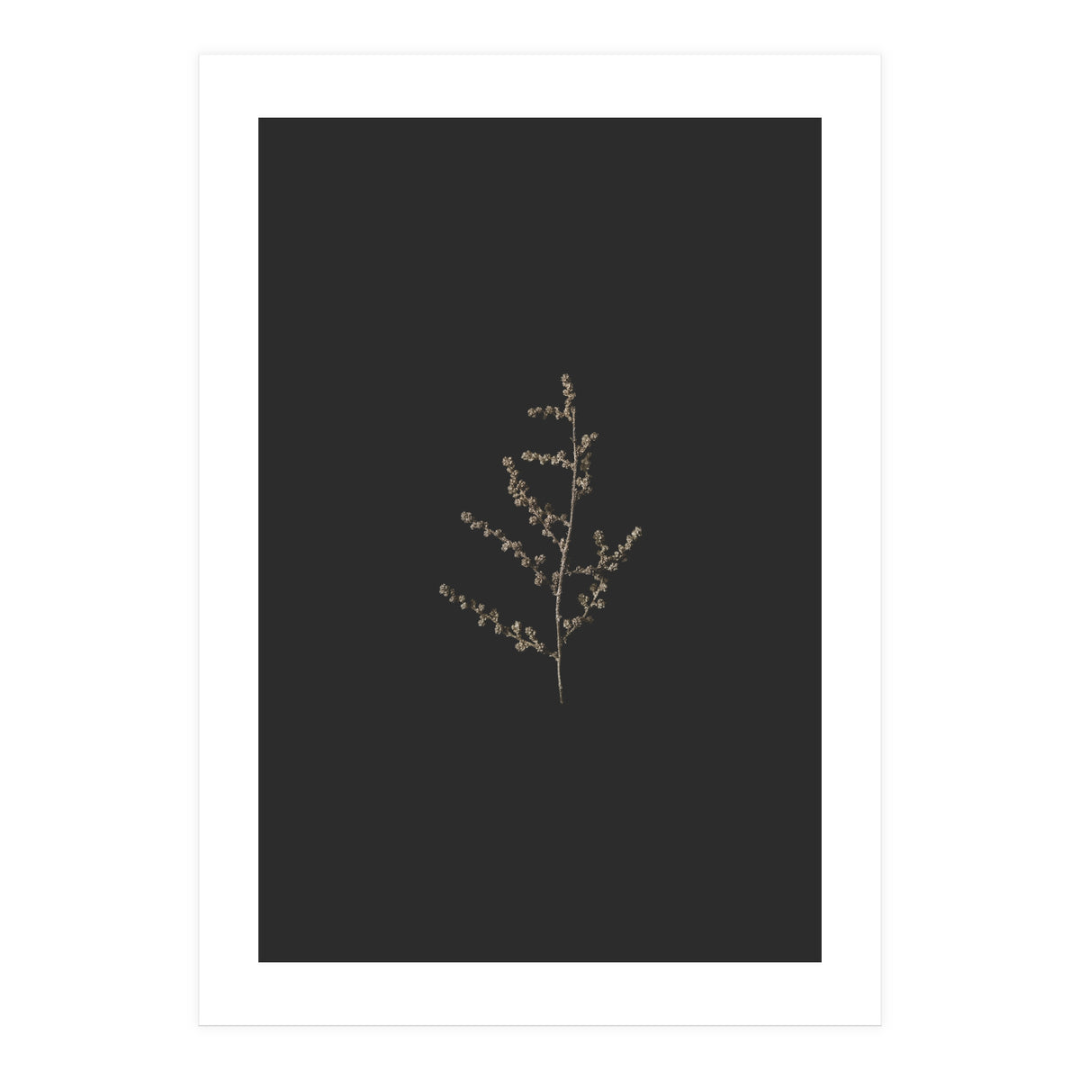 Dainty Botanicals in Gold and Black (Print Only)