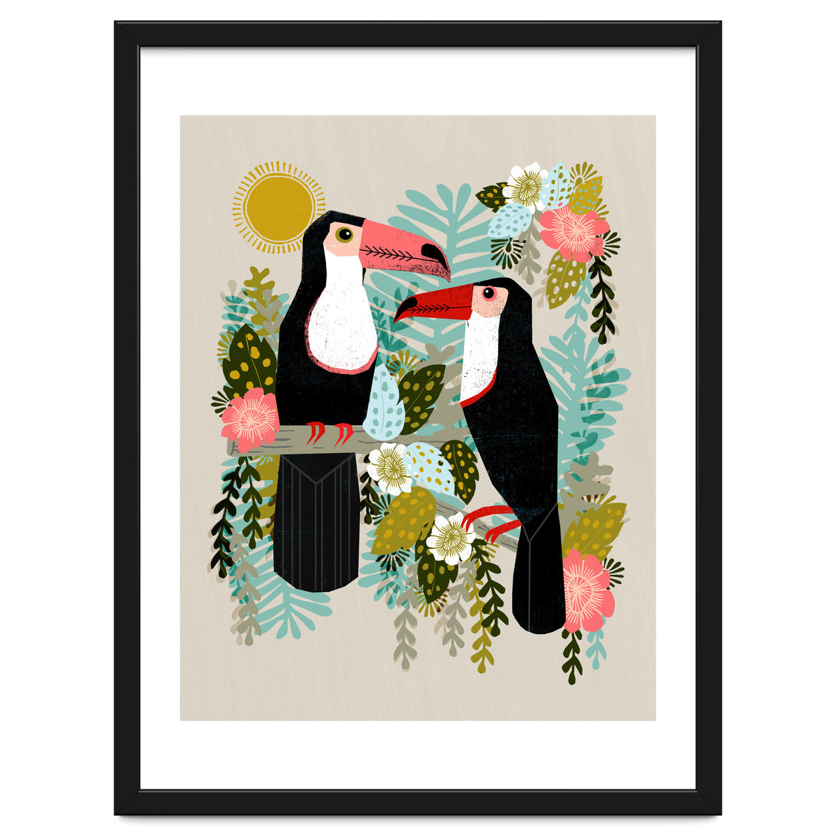 Toucans