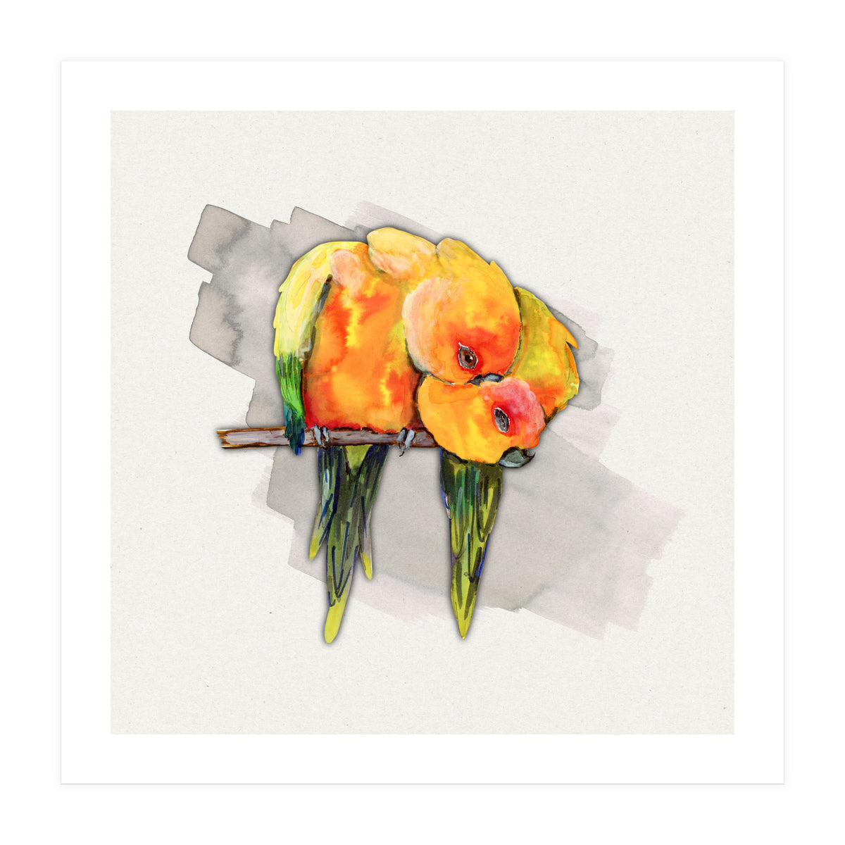 Two cuddling sun conures (Print Only)
