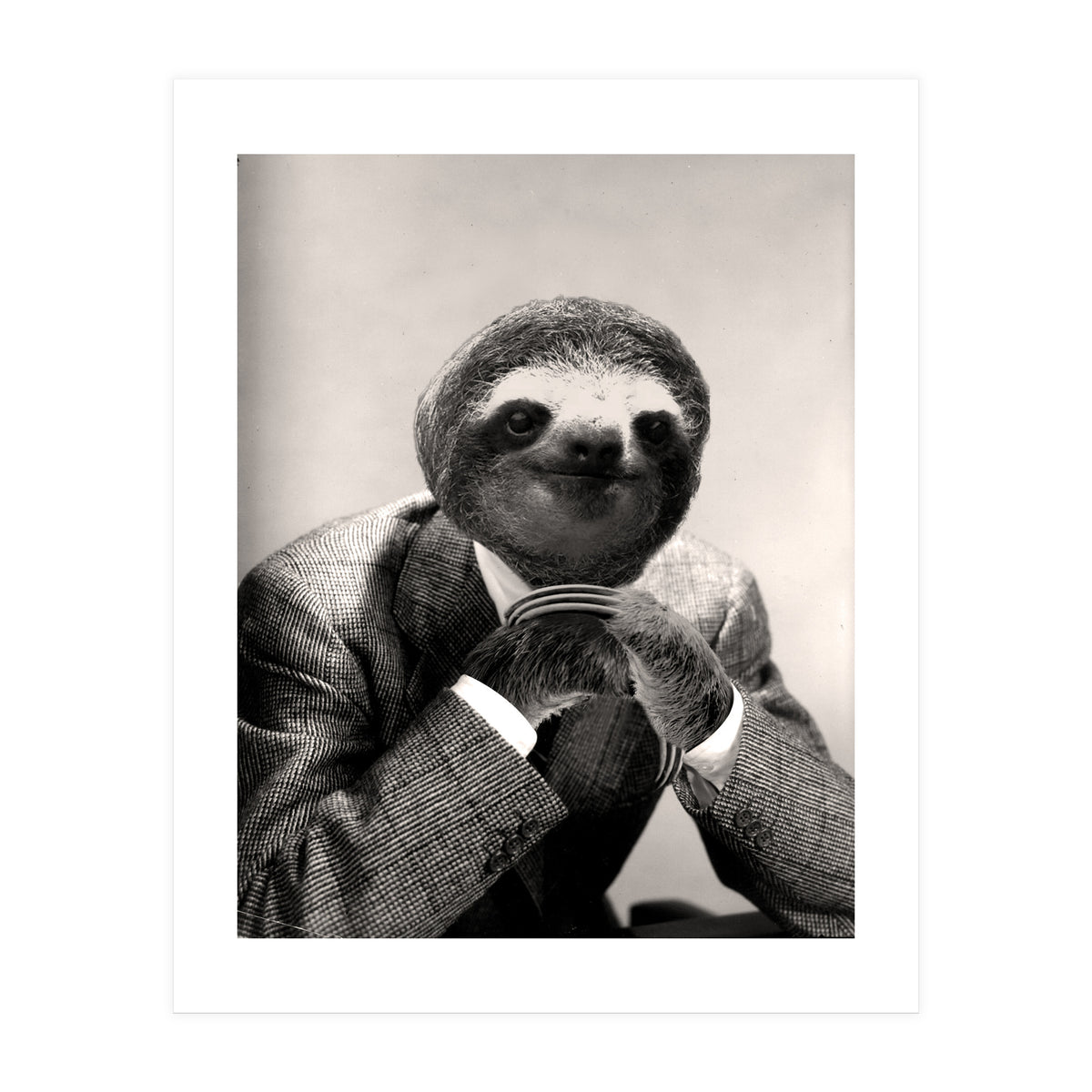Gentleman Sloth 3 (Print Only)
