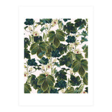 Wild Forest (Print Only) thumbnail