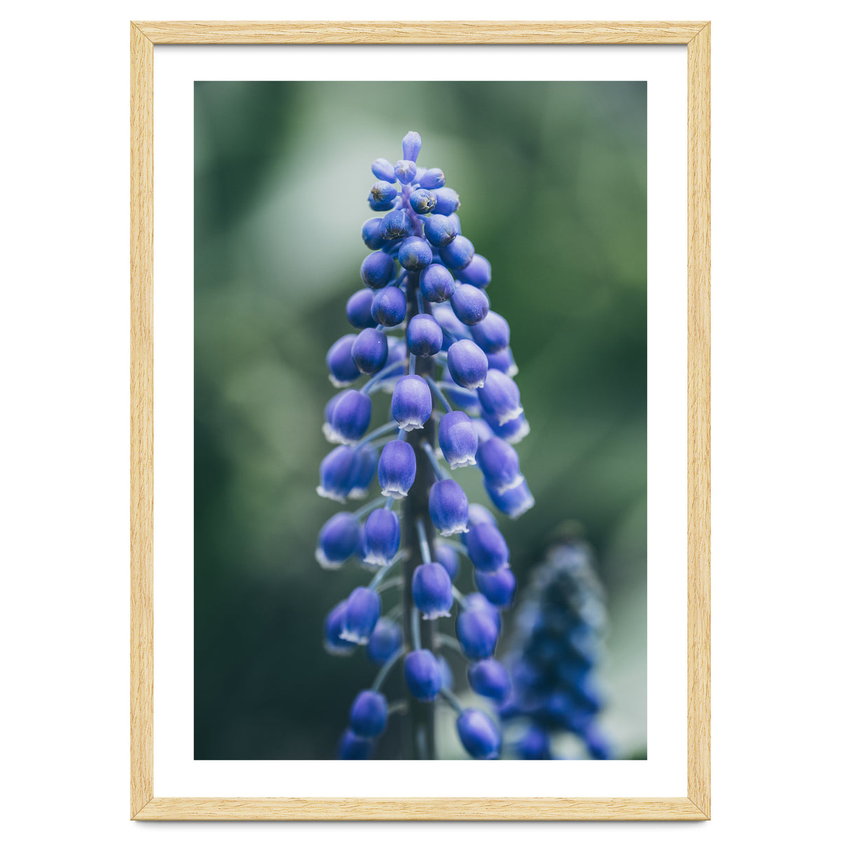 Blue Bells