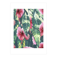 Wild Hibiscus (Print Only)