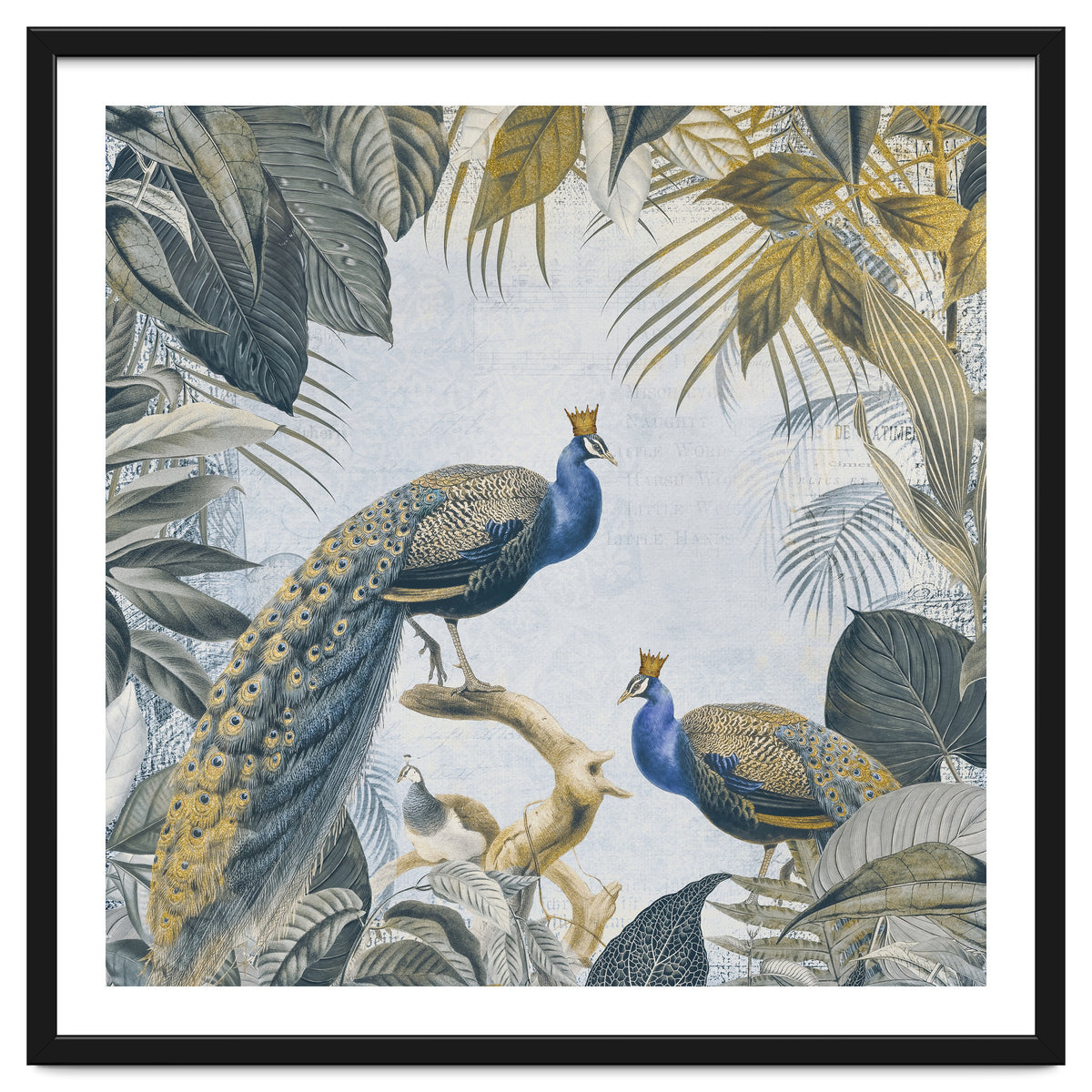 Fantastic Peacock Kings Gold Look