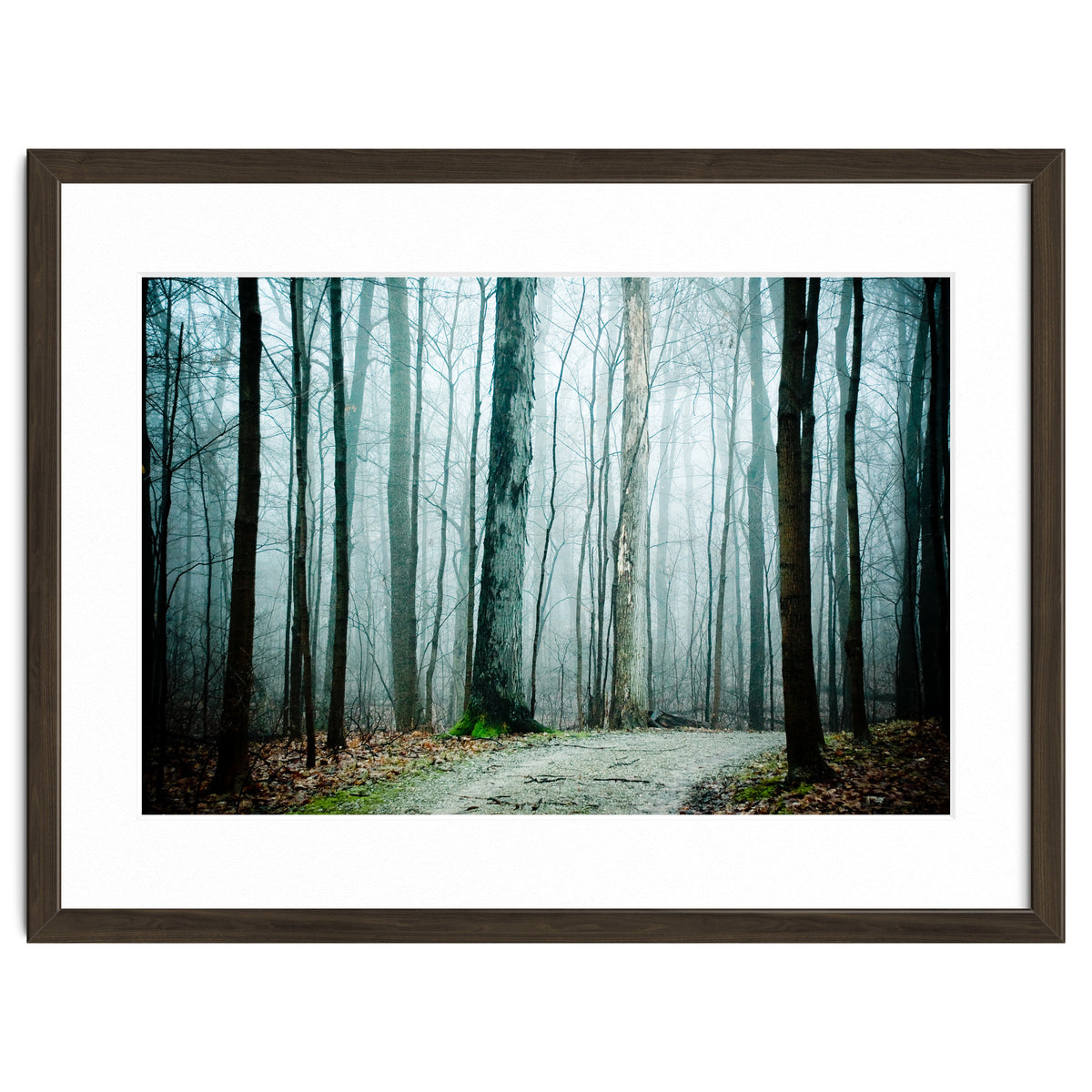 Gather Up Your Dreams