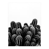 cactus nature X (Print Only) thumbnail