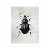 84 (Print Only) thumbnail