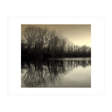 Winter Symettery  (Print Only) thumbnail
