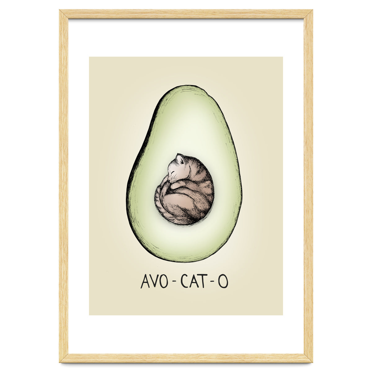 Avo-cat-o