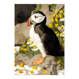 Puffin (Print Only) thumbnail