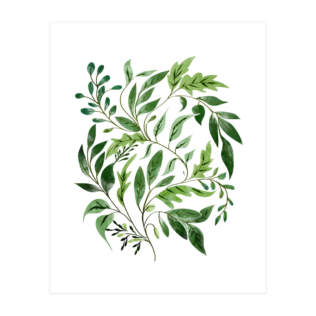 Botanical Abundance, Fresh Green Nature Watercolor Painting, Vibrant Leaves Minimal Illustration (Print Only)