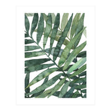 tropical 5 (Print Only) thumbnail
