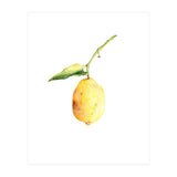 Lemon (Print Only) thumbnail