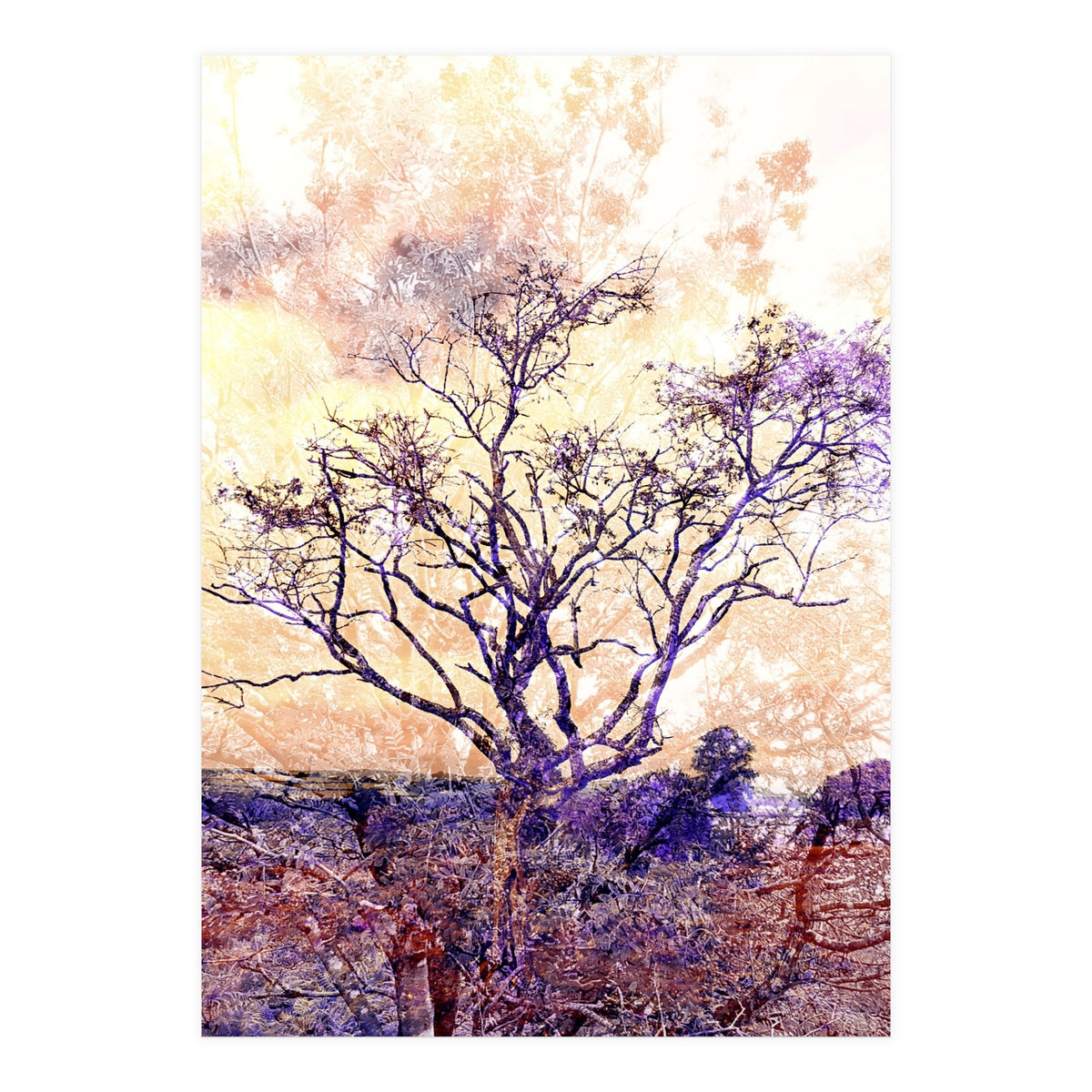 Lonely Tree II (Print Only)