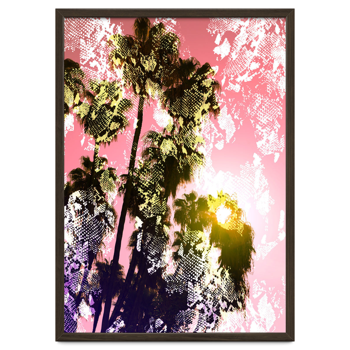 Snake sunset in paradise