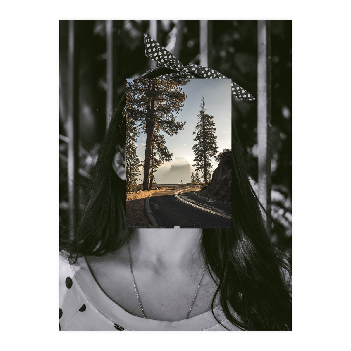 Silva Where Are You? (Print Only)