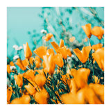 Nyla (Print Only) thumbnail