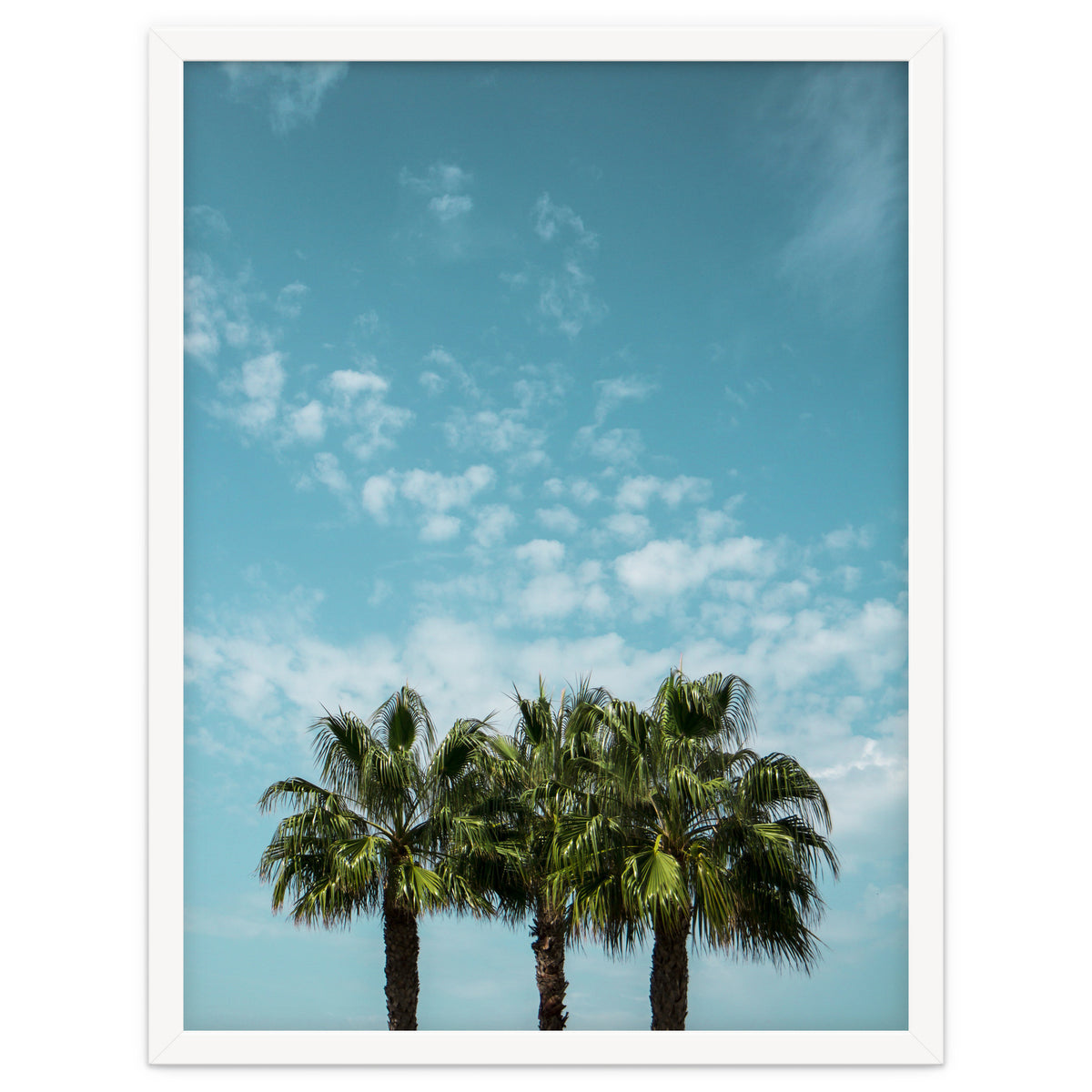 Good vibes. Landscape