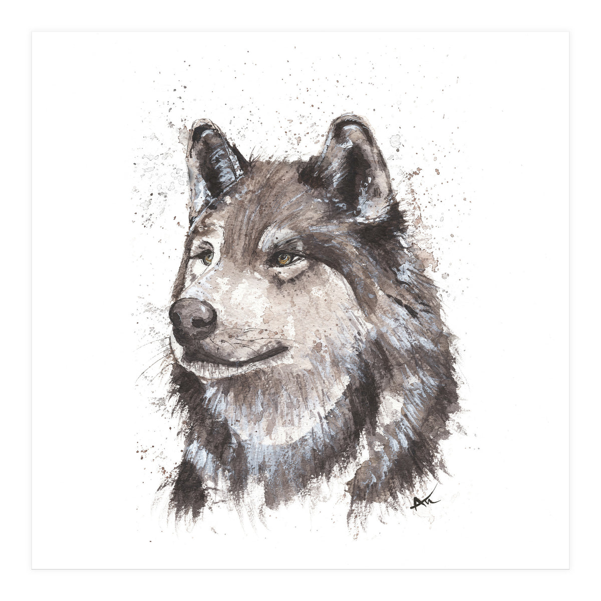 Wolf - Wildlife Collection (Print Only)
