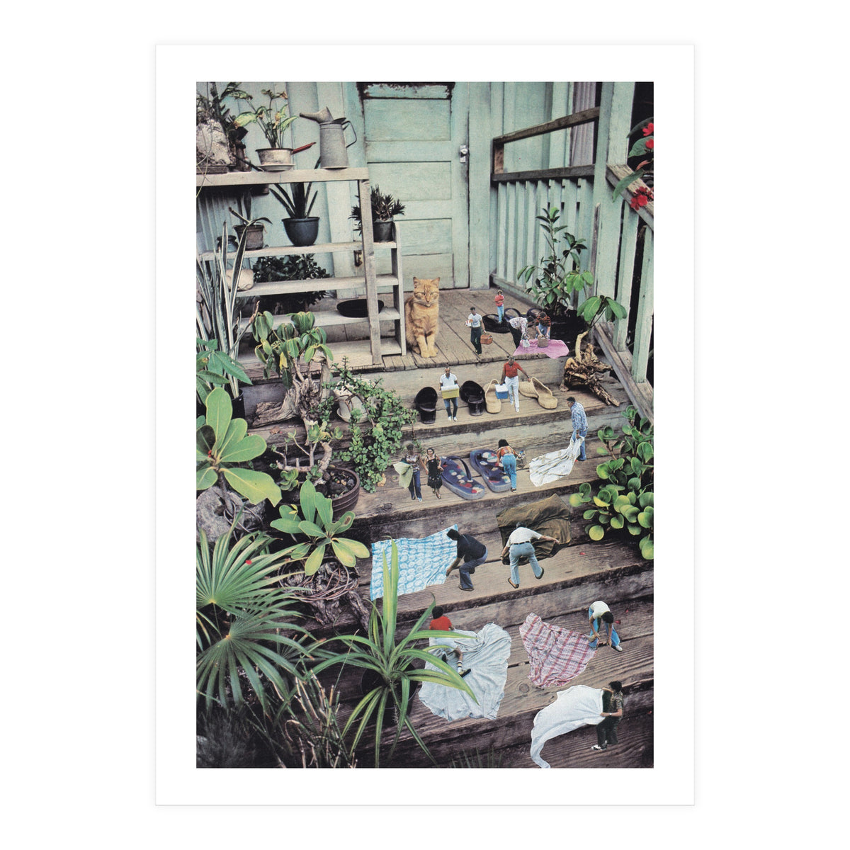 Big Cat (Print Only)