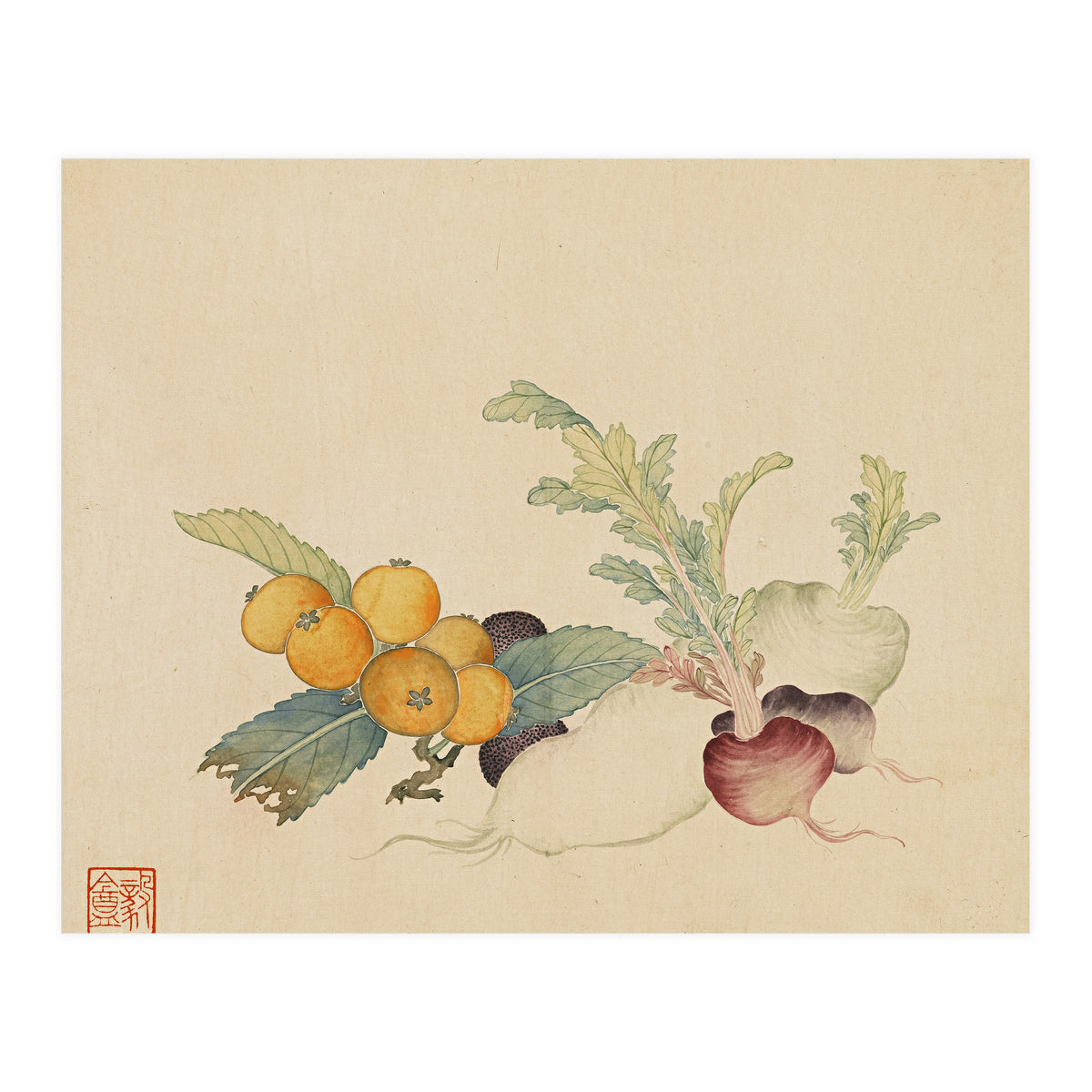 Wang Chengpi~flowers And Vegetables, Vegetables, Fruits, Loquat, White Radish, Carrot, Radish (Print Only)