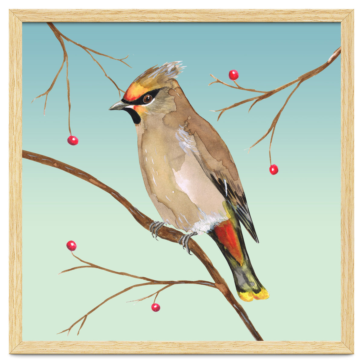 Bohemian waxwing