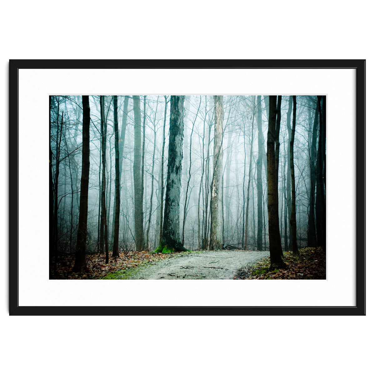 Gather Up Your Dreams