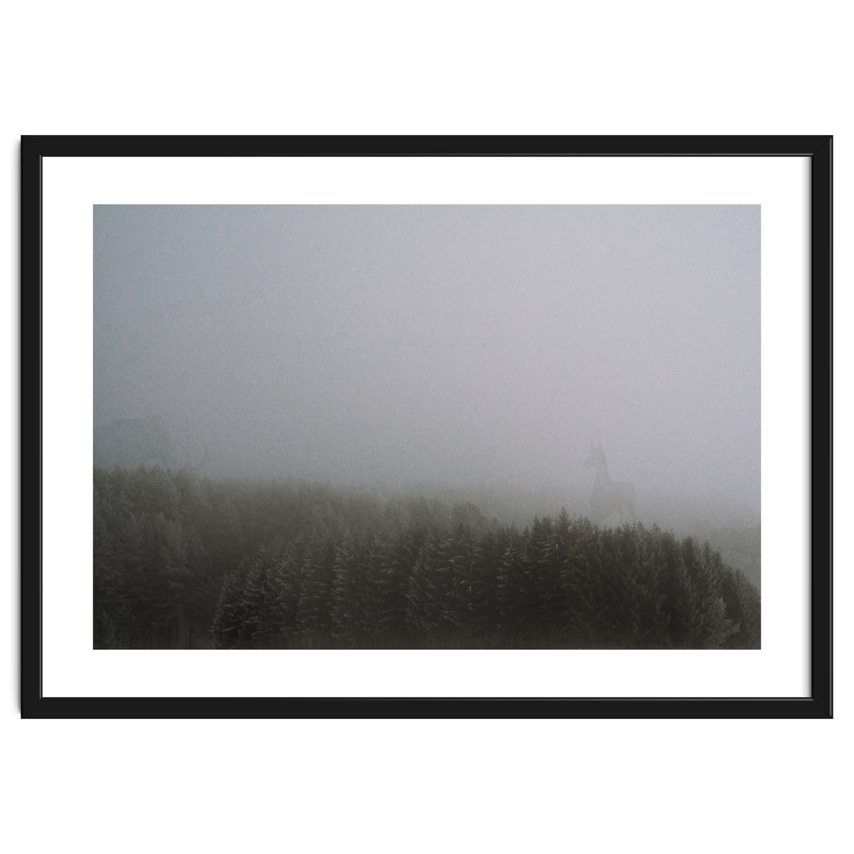 What the Hell did I just See?