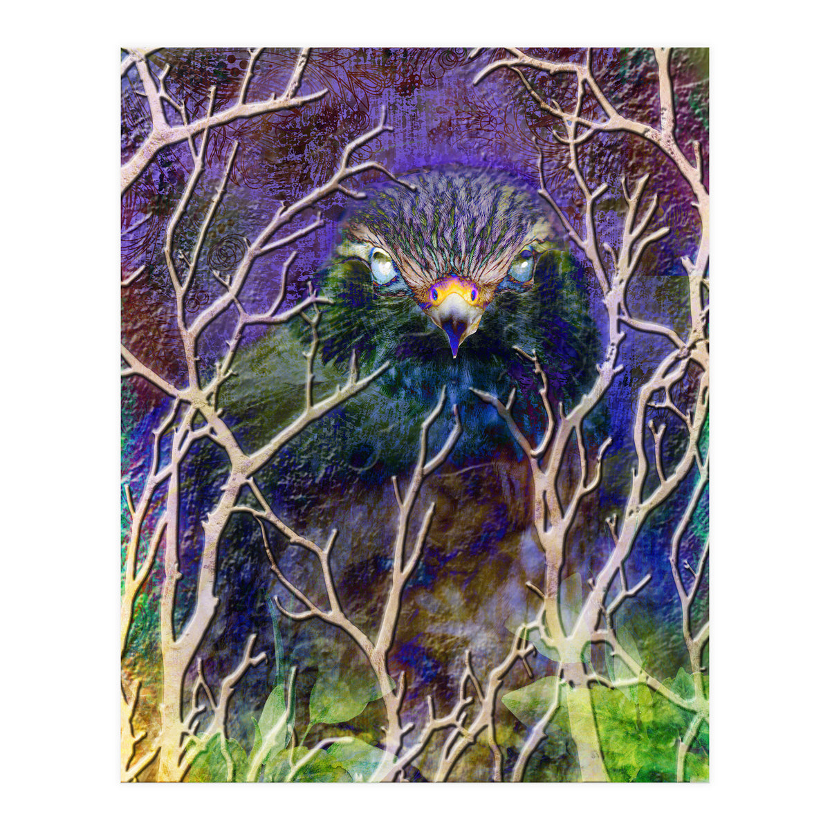 Dead Of Night (Print Only)