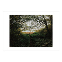 Tomales Bay (Print Only)