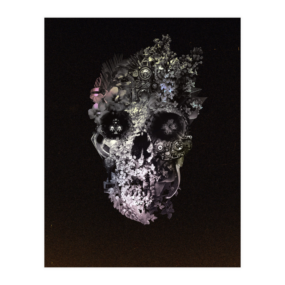 Metamorphosis  (Print Only)